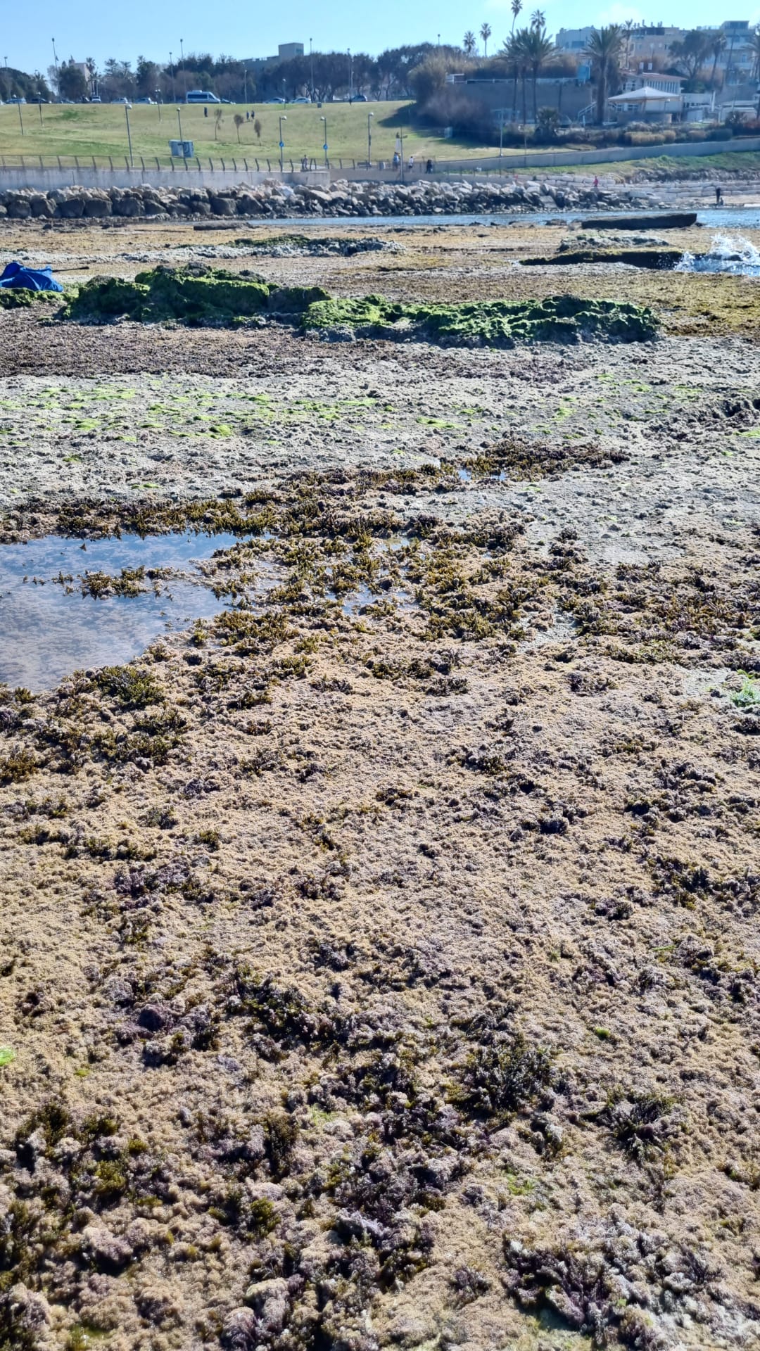 WhatsApp Image 2023-02-25 at 11.32.57 AM (1).jpeg